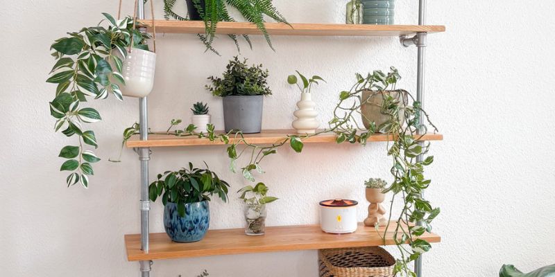 Kleidereisen Neue Produktpalette mit Holzregalen